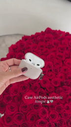 Case AirPods Taupe
